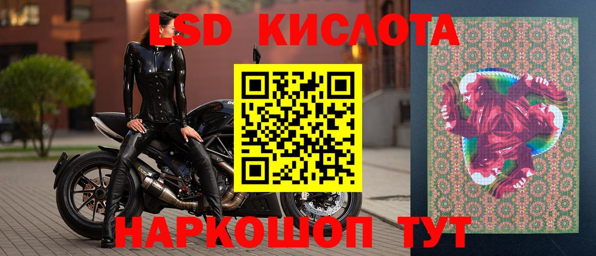 Камышлов  Наркотические марки 1,5мг  Вход с VPN  Наркотические марки 1,5мг 